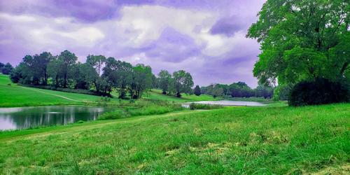 golf article